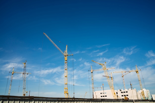 Grote torenkranen boven gebouwen in aanbouw tegen blauwe hemel.