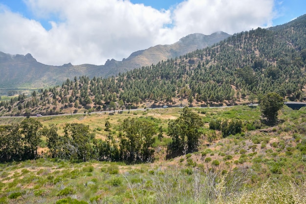 Grote Vallei in Tenerife, Canarische Eilanden, Spanje