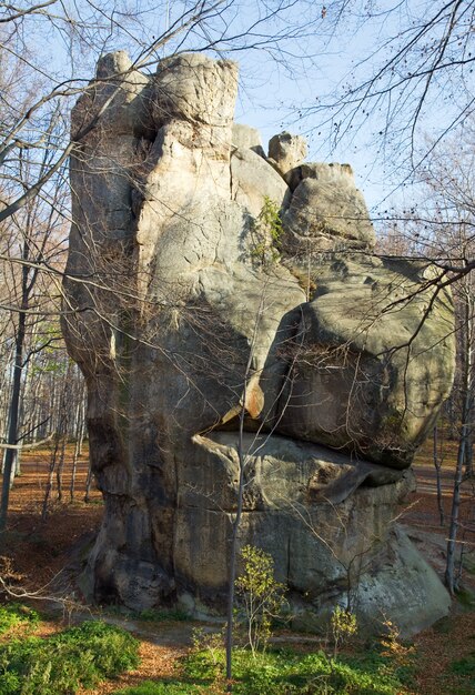 Grote verheven steen in herfstbos ("Skeli Dovbusha", regio Ivano-Frankovsk, Oekraïne)