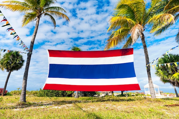 Grote vlag van het koninkrijk Thailand is gespannen tussen hoge kokospalmen op het eiland tegen de achtergrond van de zee en een bewolkte blauwe lucht. Prachtig tropisch landschap. Een exotische zuidelijke natuur.