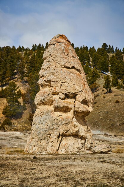 Foto grote vrijheidskappijler van rots midden in de woestijn bij yellowstone