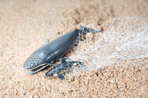 Grote walvis en baby dolfijn verstrikt in een visnet.