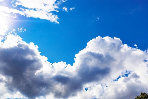 Grote wolk in blauwe lucht boven boom in de zomer