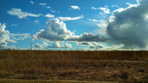 grote wolken vliegen over het veld