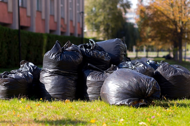 Grote zwarte zakken met gaas en bladeren verzameld in de stad in de herfst