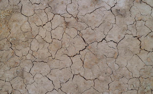 Ground cracked due to drought. Dry season causes the soil to dry and crack