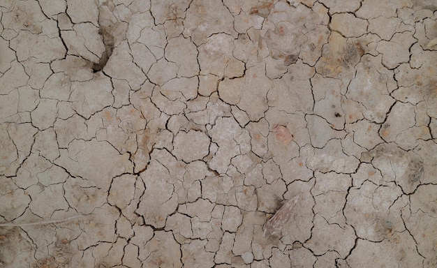 Ground cracked due to drought. Dry season causes the soil to dry and crack