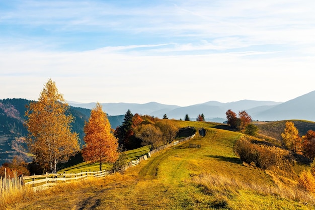 Ground grassy road runs along wooden fence on ridge past terracotta trees in highland against mountains under blue sky with pink clouds in autumn