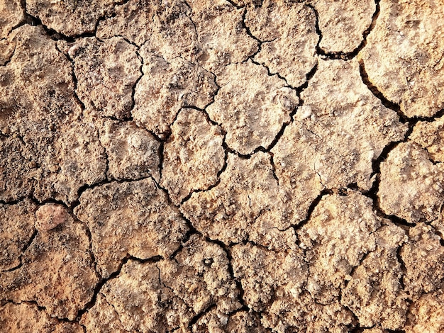 The ground has cracks in the top view for the background