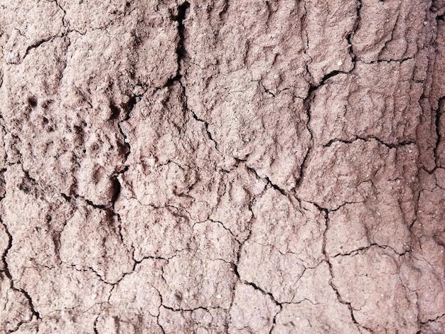 The ground has cracks in the top view for the background