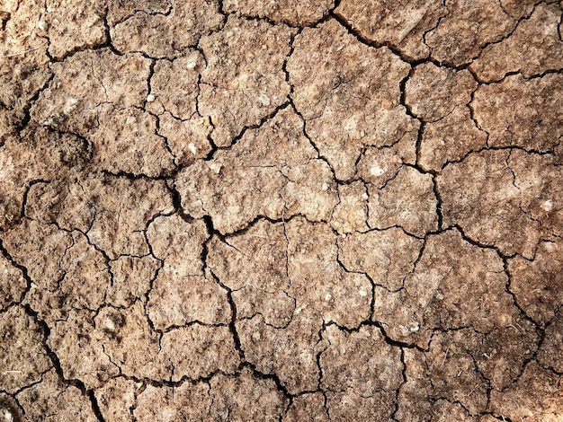 The ground has cracks in the top view for the background