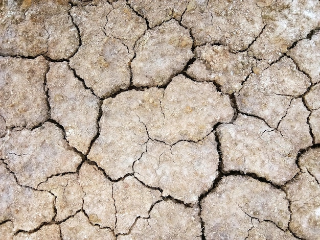 The ground has cracks in the top view for the background