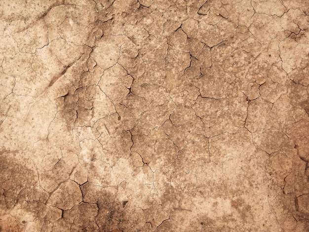 The ground has cracks in the top view for the background