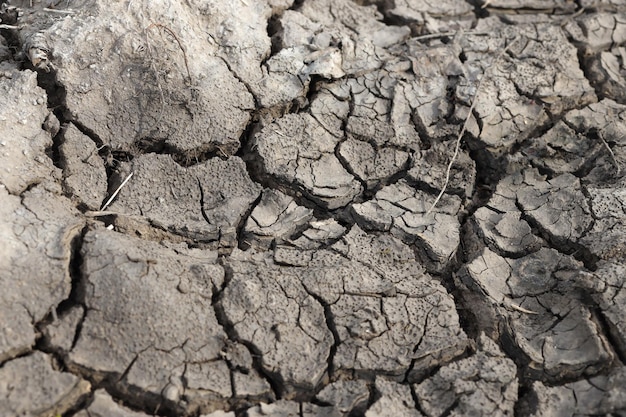 The ground has cracks in the top view for background