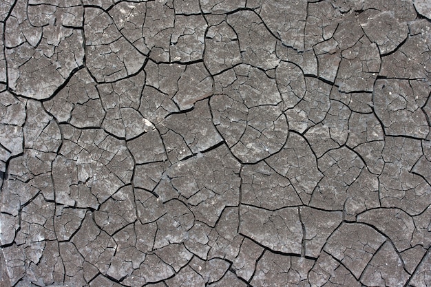 The ground is dry and cracked due to global warming