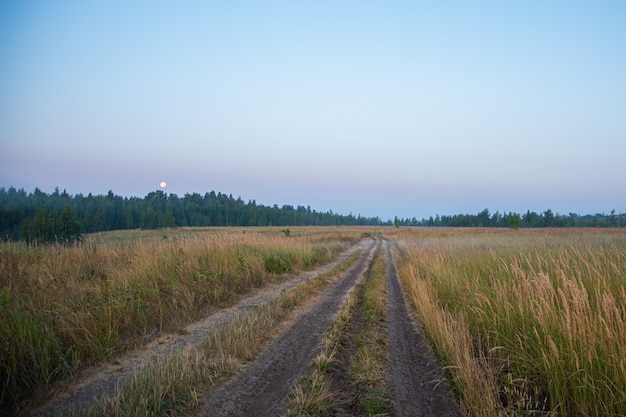 Ground road into fog at summer sunrise