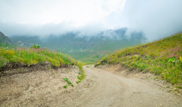 Ground road in nature Armenia Summer