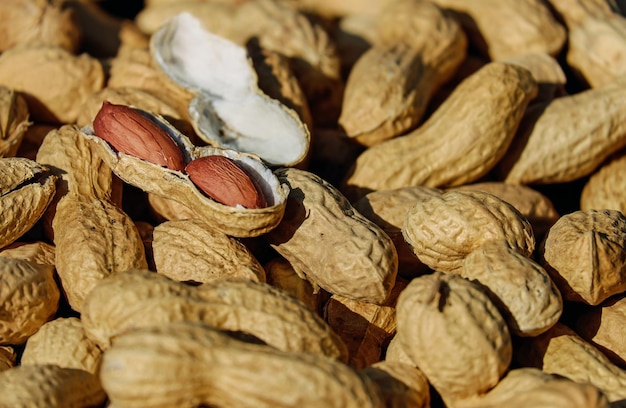 Groundnut Images  Free Download on Freepik