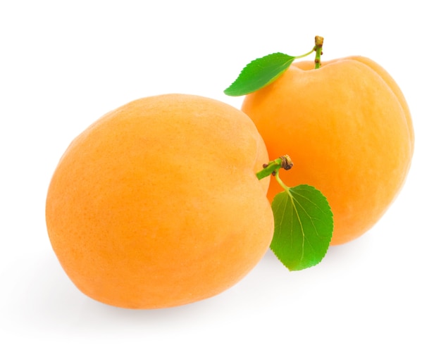 Group apricot on a white background