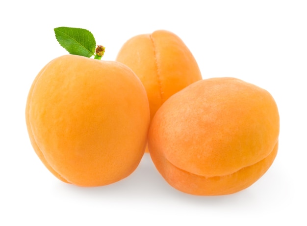 Group apricot on a white background