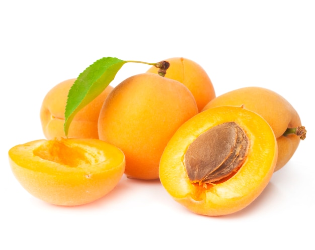 Group apricot