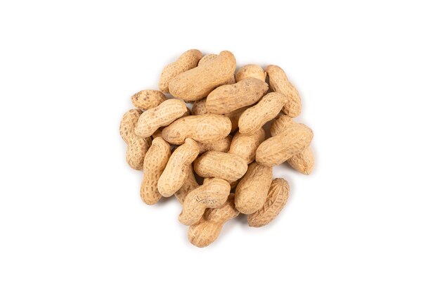 Group of Arachis isolated on a white background.