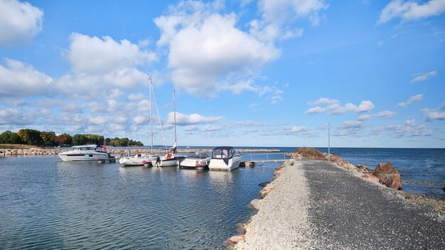 A group of boats are docked on the water