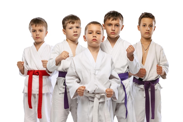 Group of boys children martial art sportsmen posing in kimono isolated over white studio background