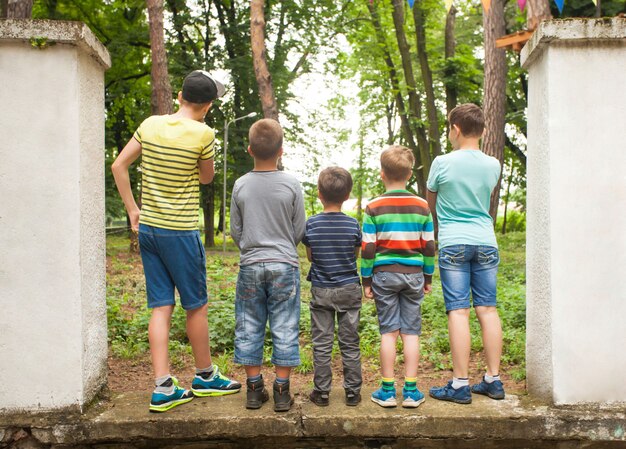 A group of boys looking at a tree in the park back view