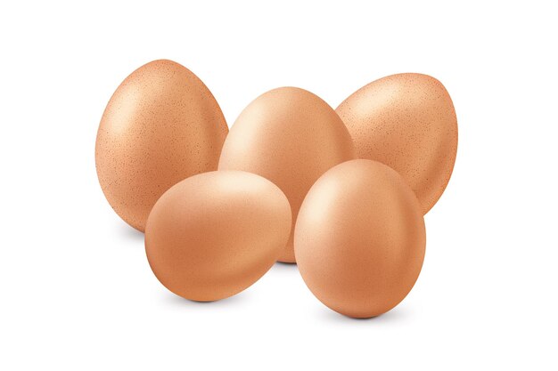 A group of brown eggs on a white background