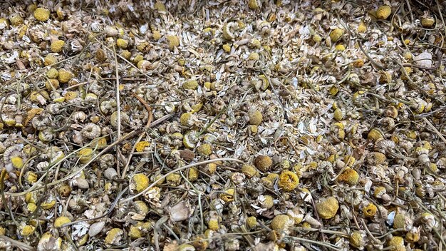 Group of bulk dried chamomile flowers