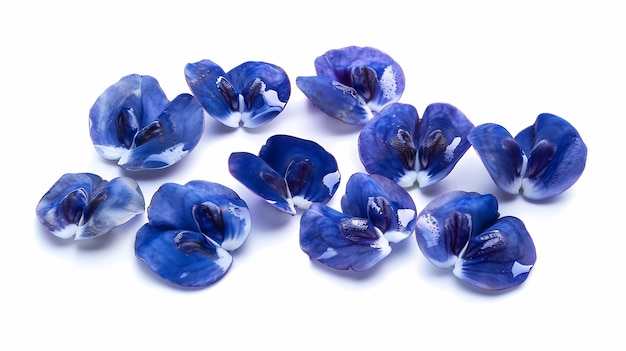 バタフライピー (Butterfly Pea) を白い背景に分離したグループジェネレーティブAI