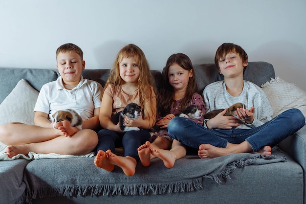 Photo group of children and puppies family brothers and sisters are sitting on sofa and holding puppies friendship