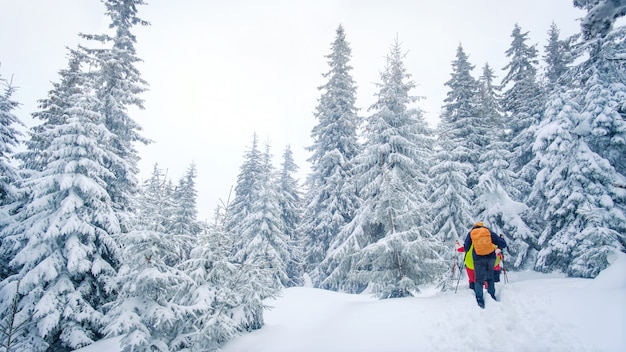 Gruppo di scalatori che camminano la traccia in montagne di inverno