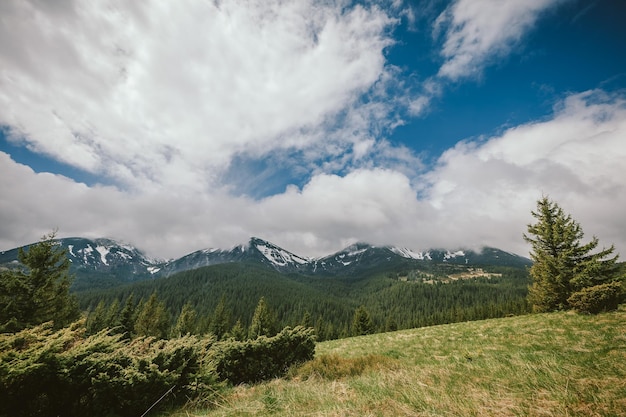 A group of clouds on a grassy hill