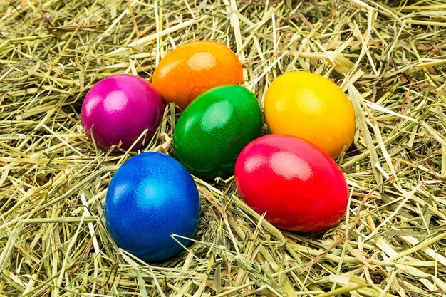 A group of colored easter eggs in a hay nest. Taken in Studio with a 5D mark III.