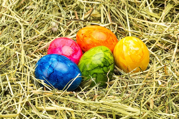 Un gruppo di uova di pasqua colorate in un nido di fieno. scattata in studio con una 5d mark iii.