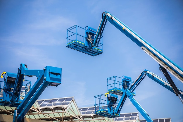 Group of cranes in a music festival