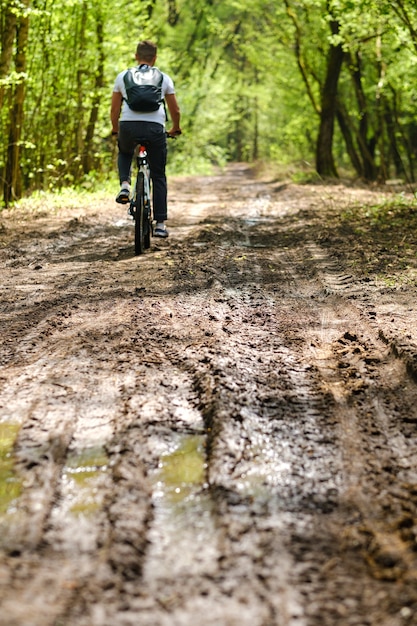 A group of cyclists with backpacks ride bicycles on a forest road enjoying nature.