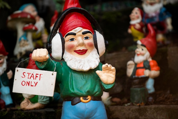 Gruppo di diversi gnomi da giardino divertenti