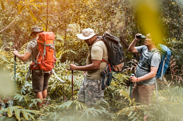 Foto gruppo di uomini diversi trekking nella foresta insieme