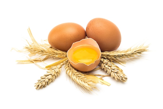 A group of eggs with grain and straw isolated on white background. Taken in studio with a 5D mark III.