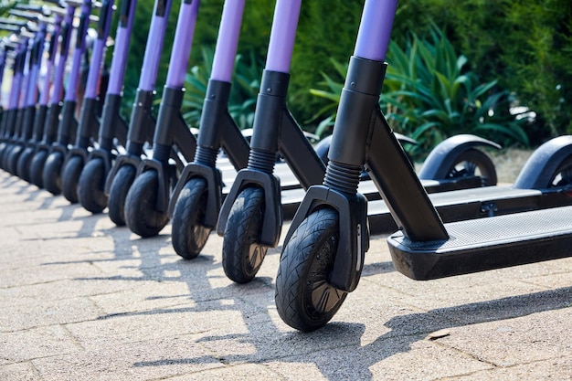 Group of electric rental scooters is parked on the street