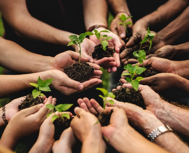 Photo group of environmental conservation people hands planting in aerial view