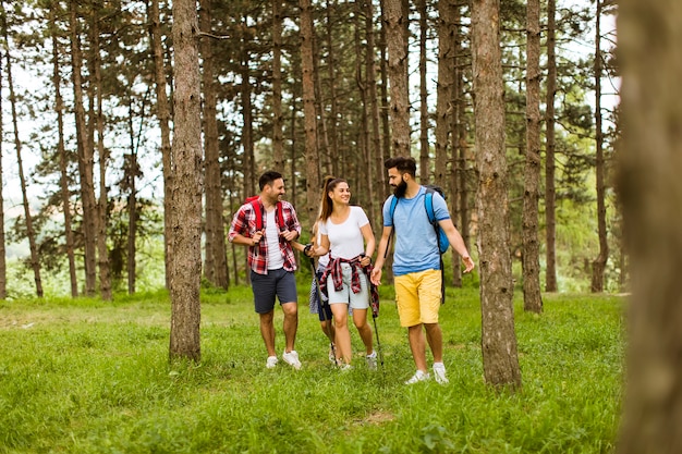 Group of four friends hiking together through a forest