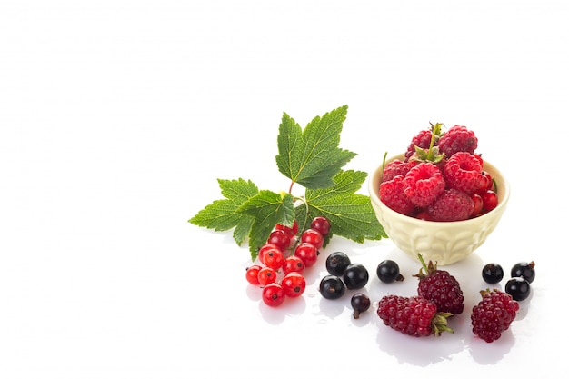 A group of fresh berries. Red and black currants with green leaves, raspberries in a bowl and  loganberry isolated