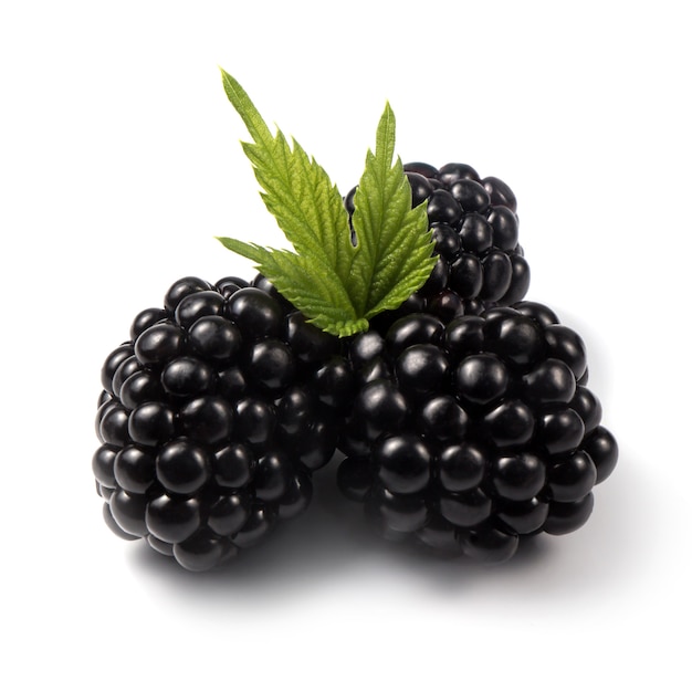 Group of fresh blackberries with a green leaf laying isolated