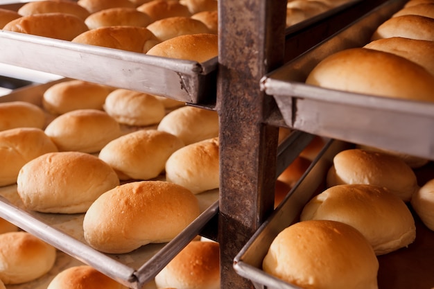 Group of fresh bread in bakery house