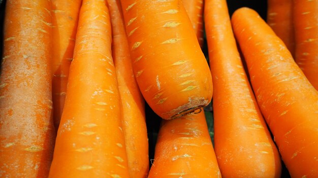 Group of fresh carrots orange color.