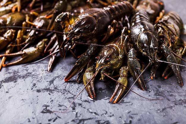 Group of fresh crayfish on the slate dark background